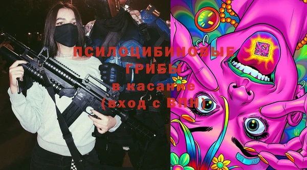 стаф Лихославль